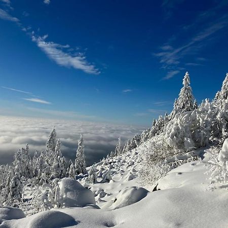 Kostelapartmany Liberec Dış mekan fotoğraf
