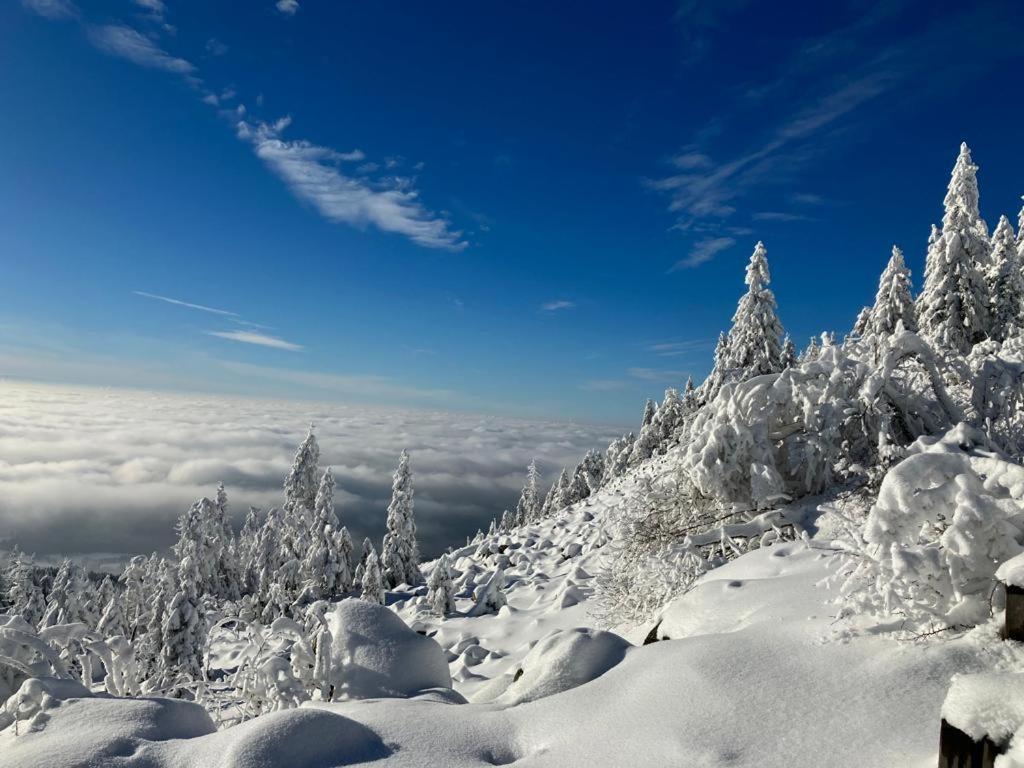 Kostelapartmany Liberec Dış mekan fotoğraf